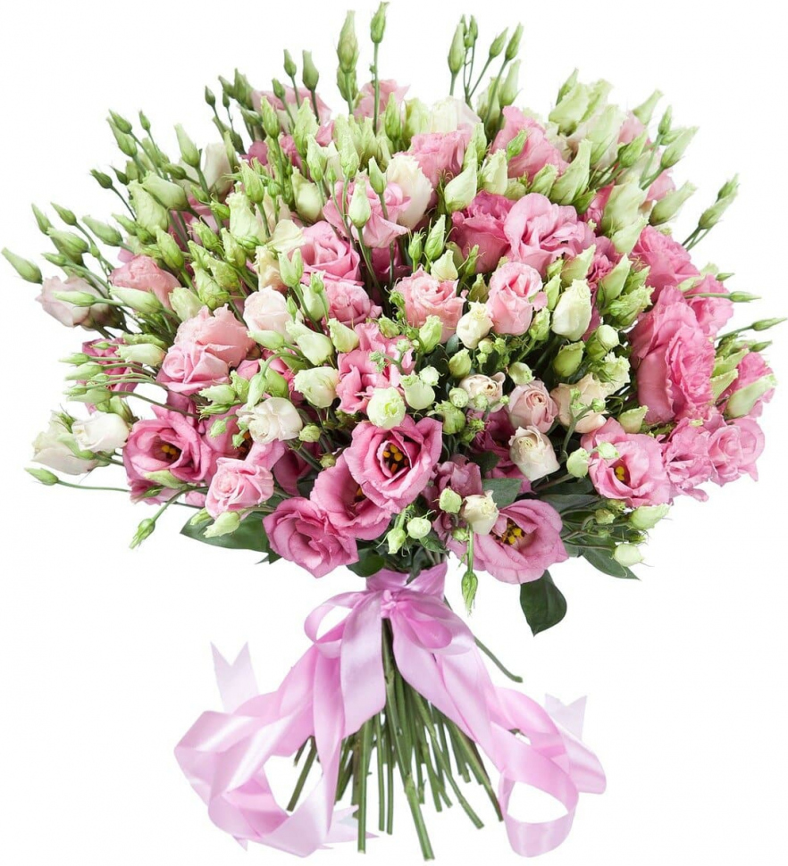 розовая эустома Розовая эустома