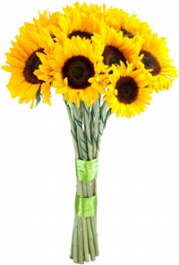 Букет «Цветы жизни»